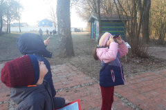 Kinder schauen mit Ferngläsern auf einen Baum und entdecken die Natur um sich herum.