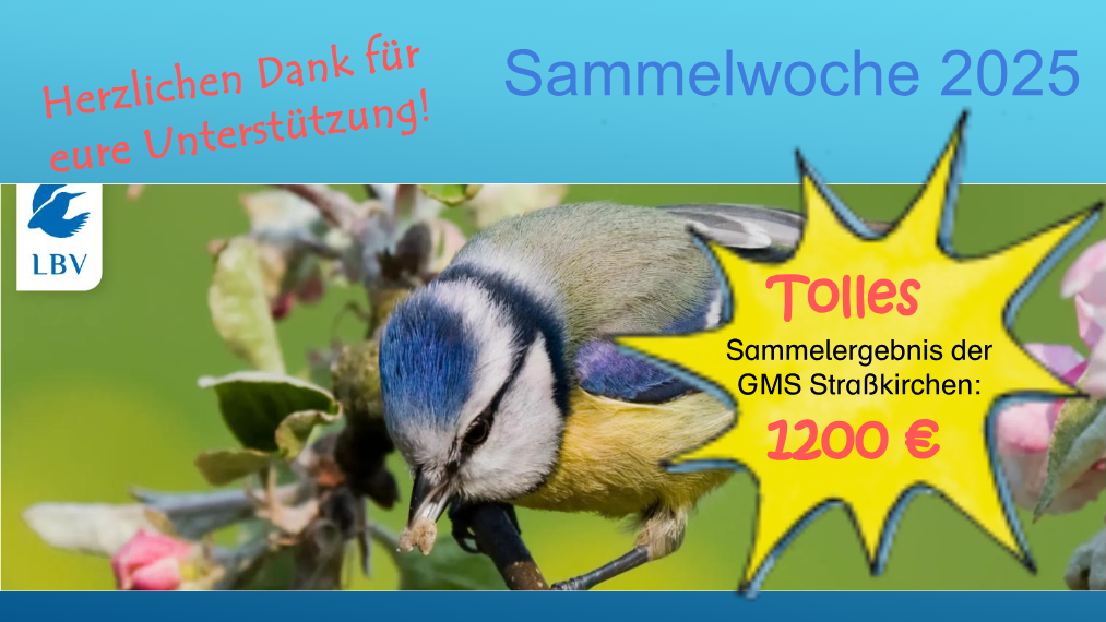 Sammelwoche 2025 - LBV sammelte bei der GMS Straßkirchen 1200€ ein.