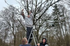 Futterstelle wird angebracht.