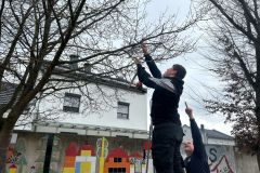 Futterstelle wird am Baum festgemacht.