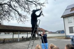 Futterstelle wird am Baum festgebracht.
