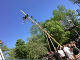 Maibaum beim aufstellen fast oben