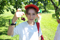 Ein Kind mit Kirschen