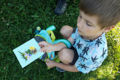 Kind zeigt ein Blumenbild