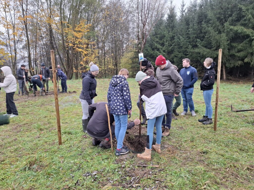 Symbolbild zum Beitrag Baumpflanz-Aktion der 7. Klasse Strasskirchen