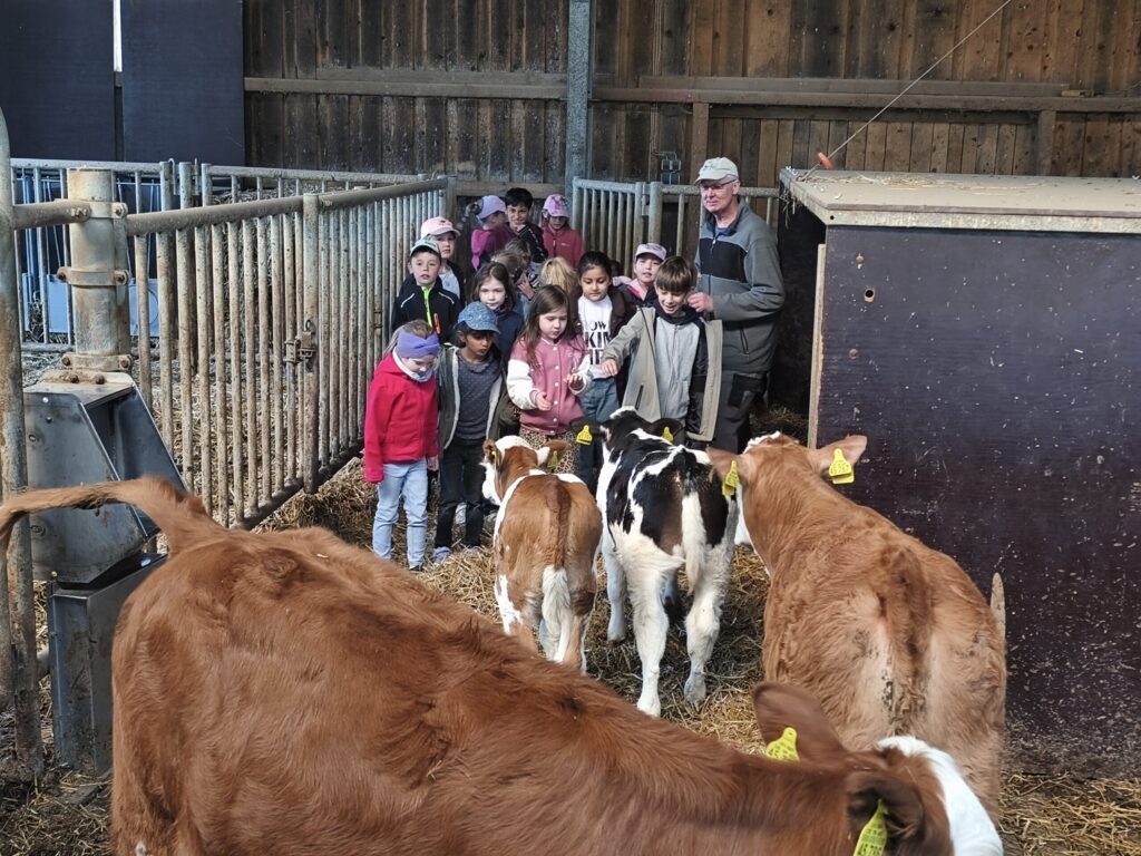 Symbolbild zum Beitrag Bauernhof macht Schule – Erlebnis Bauernhof